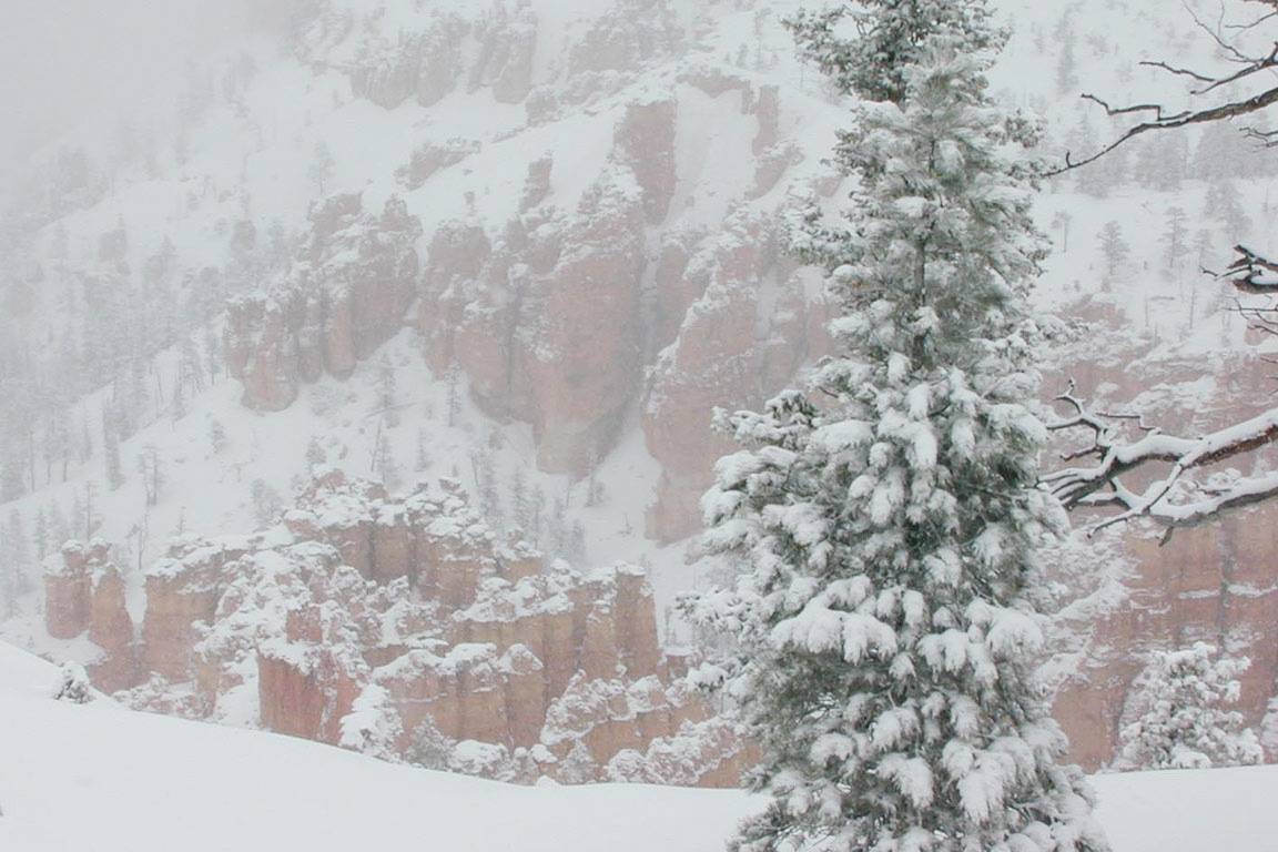 Bryce Canyon in Snow I