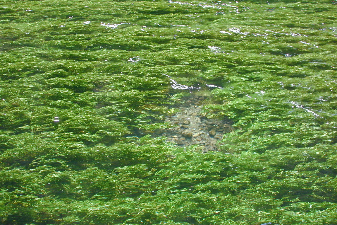La Sorge 2