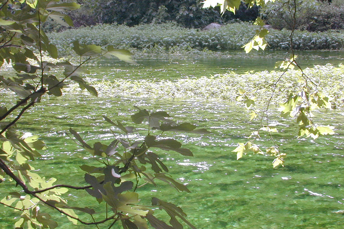 La Sorge 3
