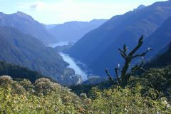 Doubtful Sound NZ