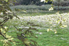 La Sorge 3